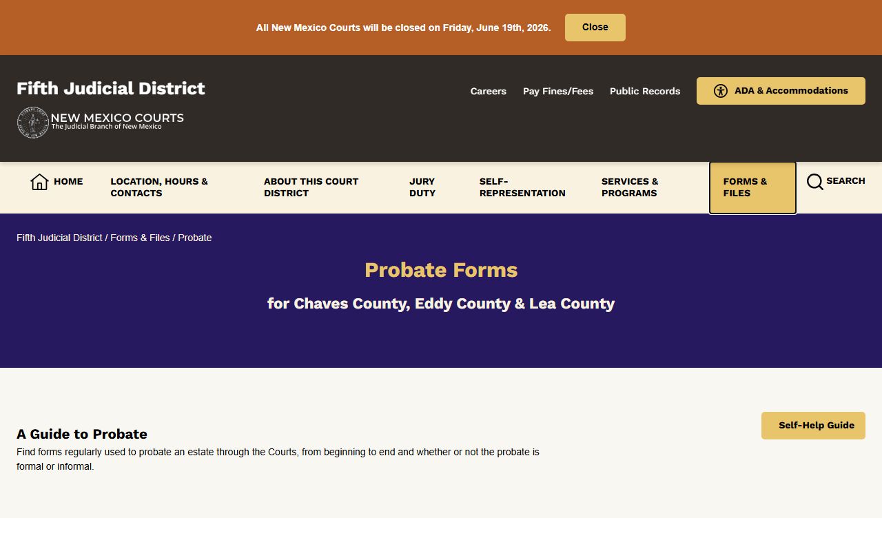 Eddy County probate records Fifth District probate forms